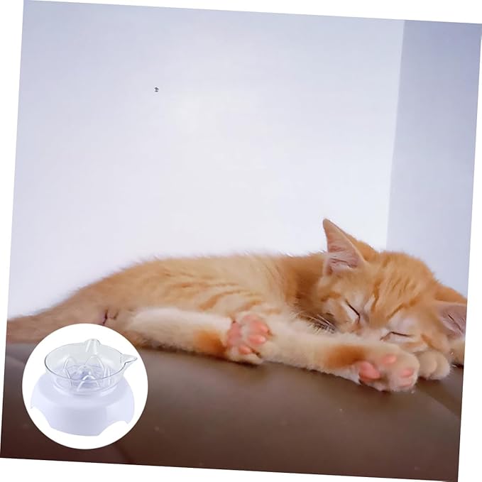 Elevated 15° Tilted Plastic Cat Food Bowl with Neck Protection High Base Pet Feeder for Cats Feeding and Watering