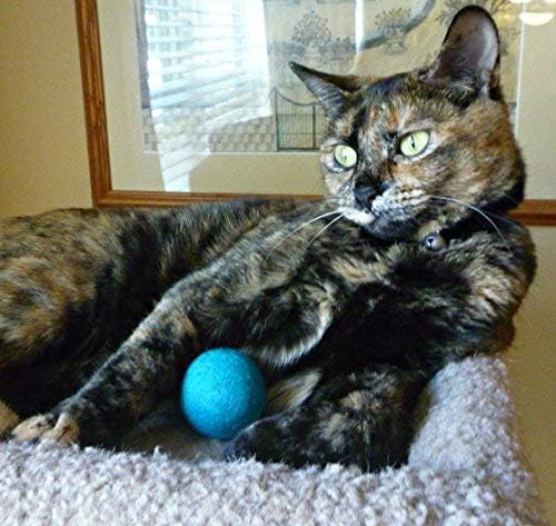 Wool Cat Toy - Felted Wool Rainbow Squid Fish Wand Toy Plus 2 Felt Ball Toys for Indoor Cats and Kittens (Cat Squid Toy)