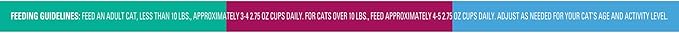 Meow Mix Seafood Favorites Chunks in Gravy Wet Cat Food Variety Pack, 2.75 Ounce (Pack of 48)