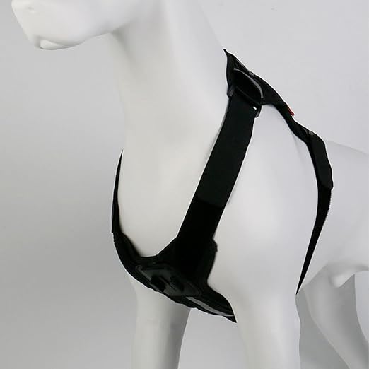 Adjustable Dog Harness Camera Dogs 8-35kg | Capture Perspectives While Playing