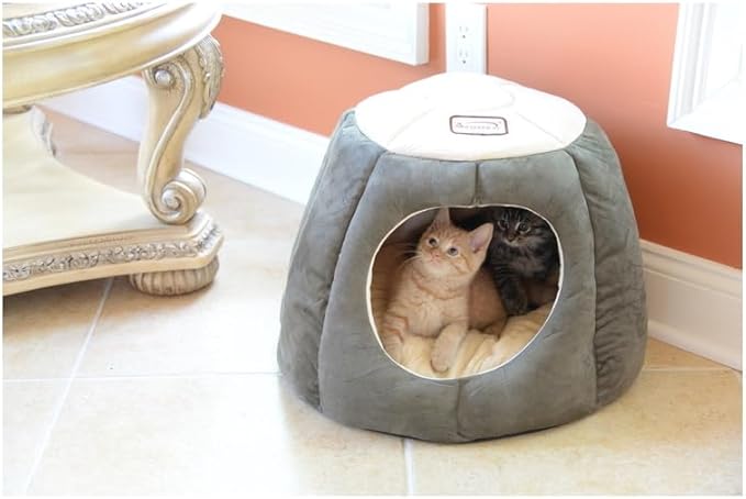 HomeStock Cat Bed Velvet & Faux Suede -Skid-Free Pet Bed - Removable Cushion - Laurel Green & Beige