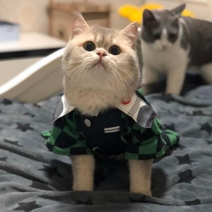 Selena Cute Cat Costumes Cartoon Japanese Anime Cosplay Dog Clothes Kawaii Cute Puppy Kitten Pet Apparel (Large,Green)