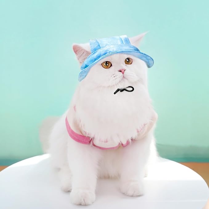 Cat Sun Hat, Baseball Cap with Ears Exposed, Outdoor Sports Hat, Suitable for Small Cats (Blue, Medium)