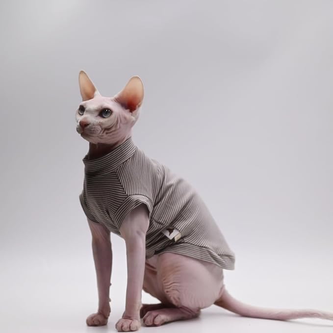Cotton Sphynx Cat Clothes Spring and Summer Thin High Elasticity Devon Rex, Konish Clothes Hairless Cat Clothes Cat Apparel for Small Cats and Dogs (Grey, Medium)