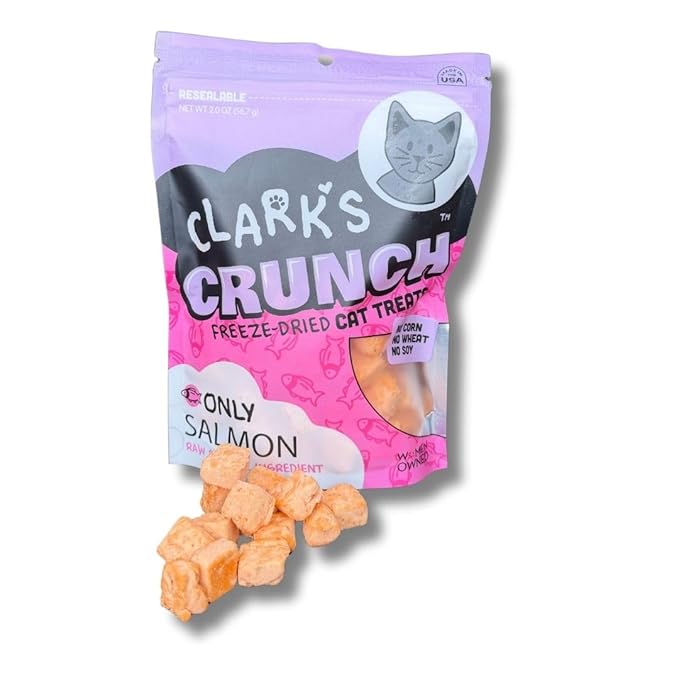 | Freeze Dried Cat Treats | Salmon Bites, Single Protein | Premium Quality | Grain Free Training Treats for Cats, 2 oz Pouch
