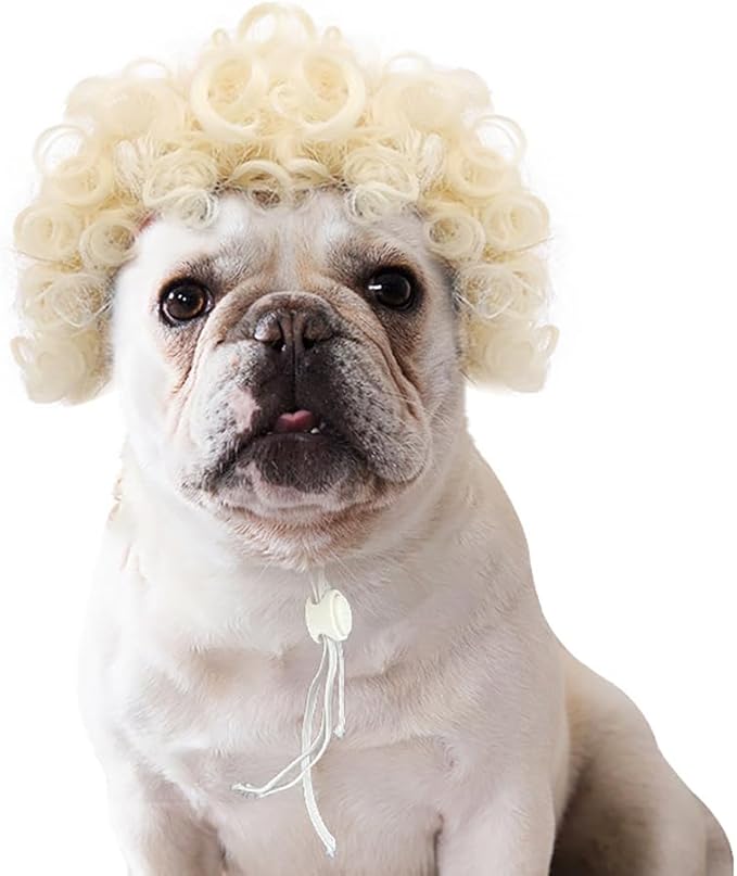 Psivika Pet Wigs Funny Dog Cat Cosplay Wig Pet Costume Cat Cosplay Decoration for Halloween, Christmas, Parties, Festival (Beige)