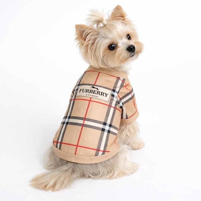 Luxury Designer Dog T Shirt – Trendy Puppy Clothes for Small Dogs, Fashion Pet Tee for French Bulldogs & Chihuahuas, Everything Chic Dog Apparel (FurberryTee, Medium)