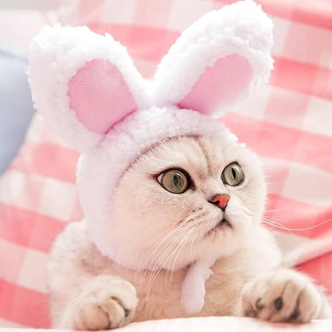 Pet Cute Hat, Cat Adorable Hat Kitten Banana Hat for Cat Kitten Small Puppy Party Costumes Festival Birthday