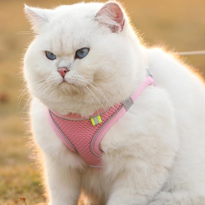 Cat Harness and Leash Set Soft Adjustable Escape Proof Cat Leash Breathable Comfortable Vest Easy to Wear Kitten/Small Dogs Harness for Outdoor Walking
