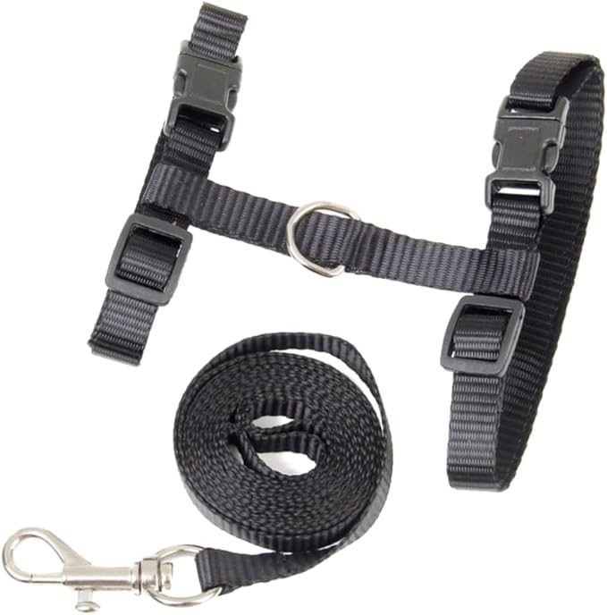Adjustable Cat Harness and Leash Lightweight Black Collar with Snap Buckle for Secure Walking Shaped Design for Comfortable Fit and Easy Wear