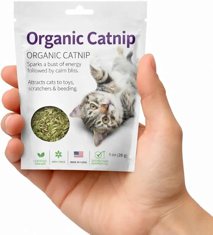 Organic Catnip for Cats USDA Certified Dried Herb Made in USA - 1 oz Pouch Premium Natural Cat Treats Strong Fresh Loose Leaf Catnip Herbs Resealable Bag Best Single Ingredient Cat Nip Buds Bulk