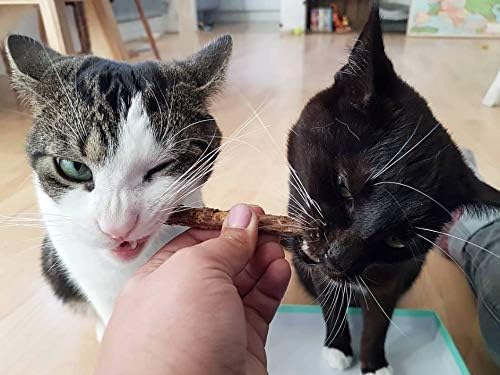 Meowy Janes 20 Ct Mini Matatabi Cat Chew Sticks - an All Natural Silvervine Cat Toy and Treat - Catnip Alternative