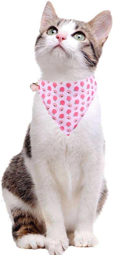 Cat Collar Breakaway with Cute Bow Tie Bandana and Bell Fruits Accessories for Kitty Adjustable Safety