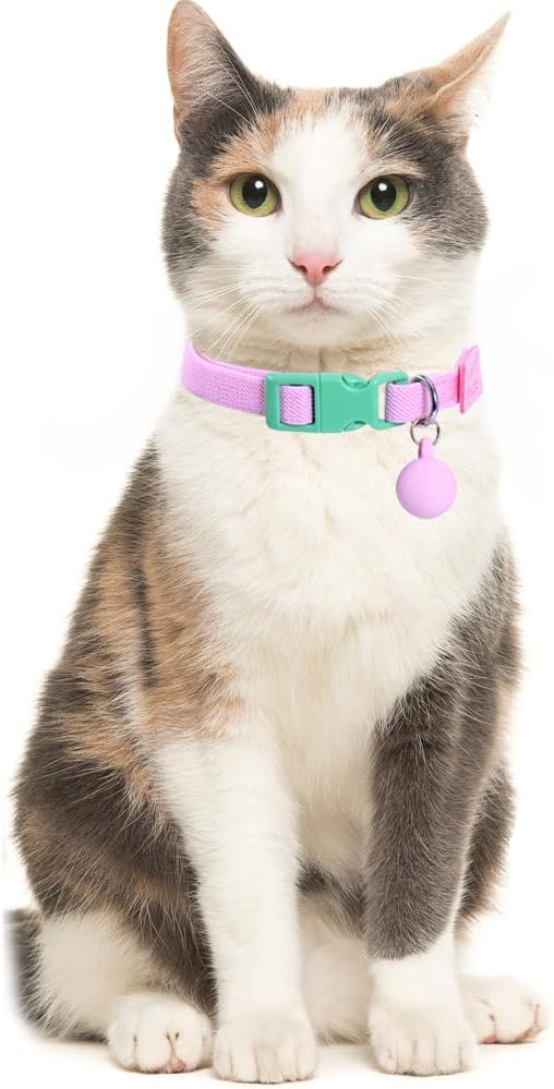 Lamphyface 2 Pack Eastic Cat Collar with Solid-Color Ball Pendant Adjustable Accessory for Cats Puppy Kitten Kitty
