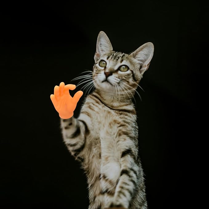 6 Pcs Cute Mini Hands for Cats,Tiny Human Hands for Cats,Rubber Mini Tiny Finger for Cats