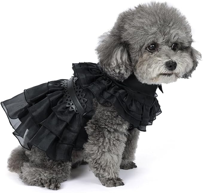 Pet Dog Cat Black Dress Halloween Costume Cosplay Puppy Kitten Coat with Belt Christmas Party (Black, Medium)