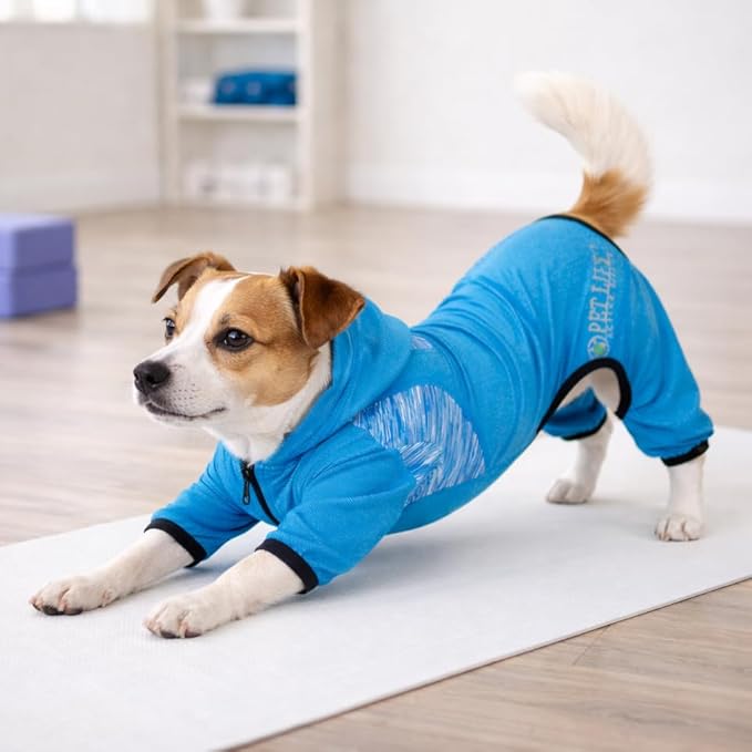 Pet Life ® Active Pawsterity Mediumweight 4-Way-Stretch and Quick Dry Yoga Fitness Year-Round Hooded Tracksuit Dog Sweater