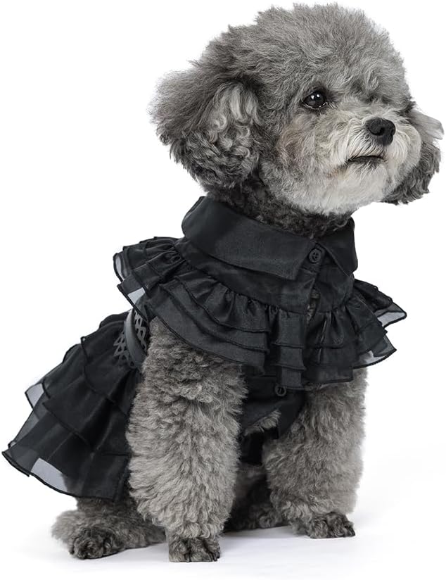 Pet Dog Cat Black Dress Halloween Costume Cosplay Puppy Kitten Coat with Belt Christmas Party (Black, Medium)