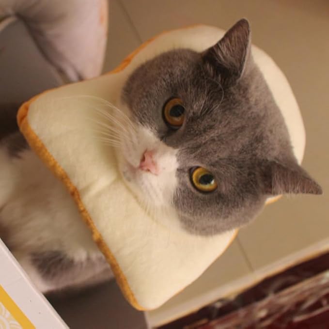 Kisangel Bread Shape Headgear Soft Cotton Pet Costume Hat for Cats and Small Dogs Xs Size Comfortable Fit for Cosplay Parties and Festivals