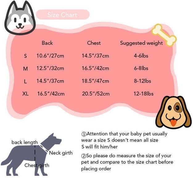 Luxury Designer Dog T Shirt – Cute Puppy Clothes for Small Dogs, Fashion Pet Tee Outfit for French Bulldogs & Chihuahuas, Everything Chic Dog Apparel