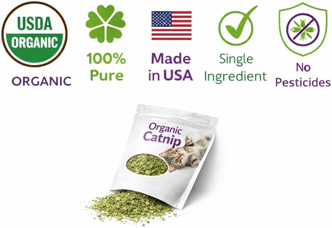Organic Catnip for Cats USDA Certified Dried Herb Made in USA - 3 oz Total Premium Natural Cat Treats Strong Fresh Loose Leaf Catnip Herbs Resealable Bag Best Single Ingredient Cat Nip Buds Bulk