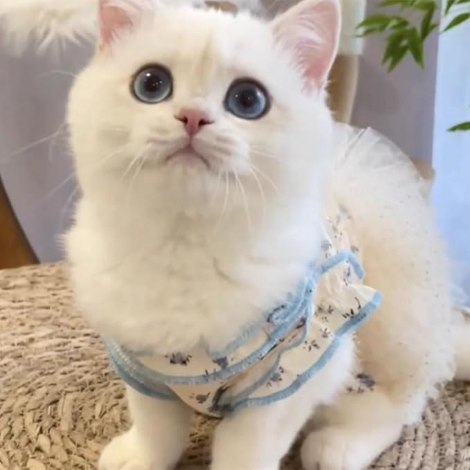 Summer Pet Dress for Small Dogs Cats, Ice Silk Cotton Floral Print Tutu Skirt with Built-in D-Ring, Breathable Sleeveless Puppy Kitten Outfit for Daily Walk and Photo (Blue-Tutu, X-Small)