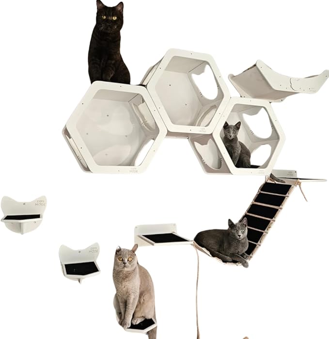 Wall Cat Shelves Wood Cat Wall Shelves Furniture - Wooden Shelf Wall Mounted Furniture - Indoor Cats Rustic Decor Lover Gift