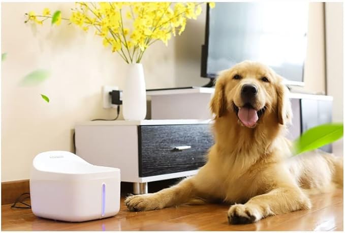 Liusj JUnst Cat Drinking Water Fountain, Automatic Pet Water Dispenser, Dog Fountain Type Water Double Filter Water Feeder, Health, Safety,for Cats and Small to Medium Dogs