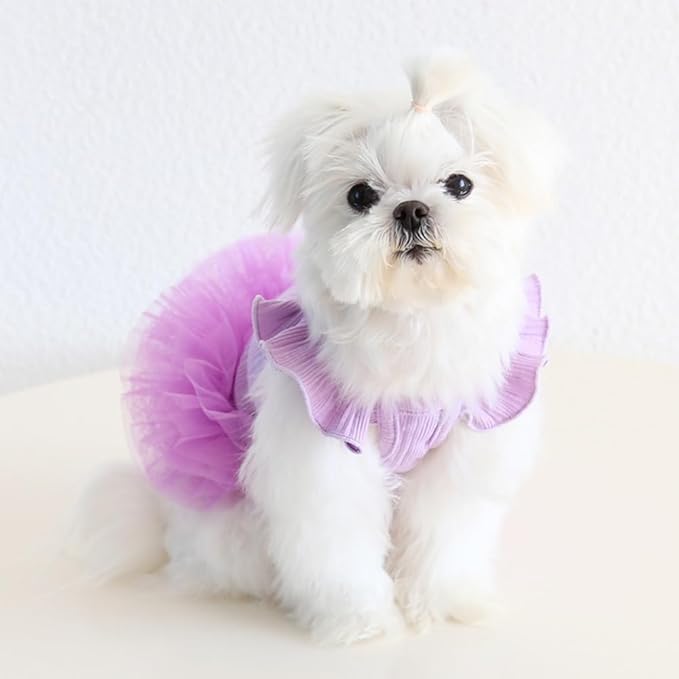 Hdwk&Hped Small Dog Dress Breathable Summer Dog Dress for Puppy Cats Girl Female Tutu Cake Skirt Princess Dress for Birthday Party Costume (Tutu Skirt - Purple, Small)