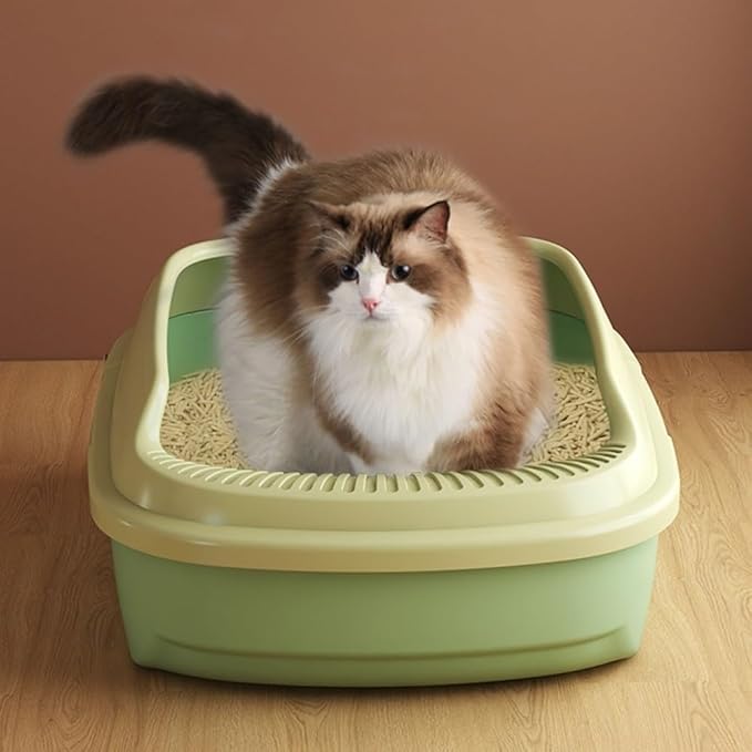 Pet Supplies, Open Top Cat Litter Box with Scoop, High Side Sifting Tray for All Cats(Green)