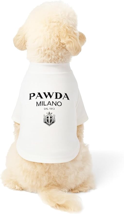 Luxury Designer Dog T Shirt – Cute Puppy Clothes for Small Dogs, Fashion Pet Tee Outfit for French Bulldogs & Chihuahuas, Everything Chic Dog Apparel