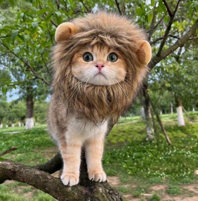 Lion Mane Costume for Cats and Small Dogs, Adjustable Washable Pet Dress with Ears for Halloween Christmas Easter Festival Party Activity(Small)