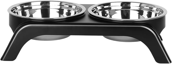 Elevated Cat Bowls, Stainless Steel Raised Food Water Bowl Set
