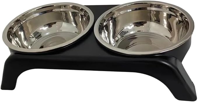 Cat Bowls Stainless Steel Raised Food Water Set for Indoor Cats