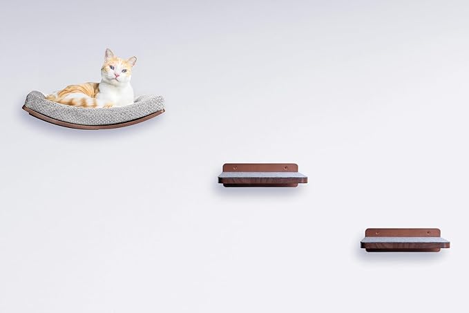 Premium Cat Shelves – Shelf in Walnut Brown with Replaceable Carpet with 2 Pine Wood Steps (3pcs). Sturdy Perches for Wall. Cat Hammock Bed Furniture for Cats