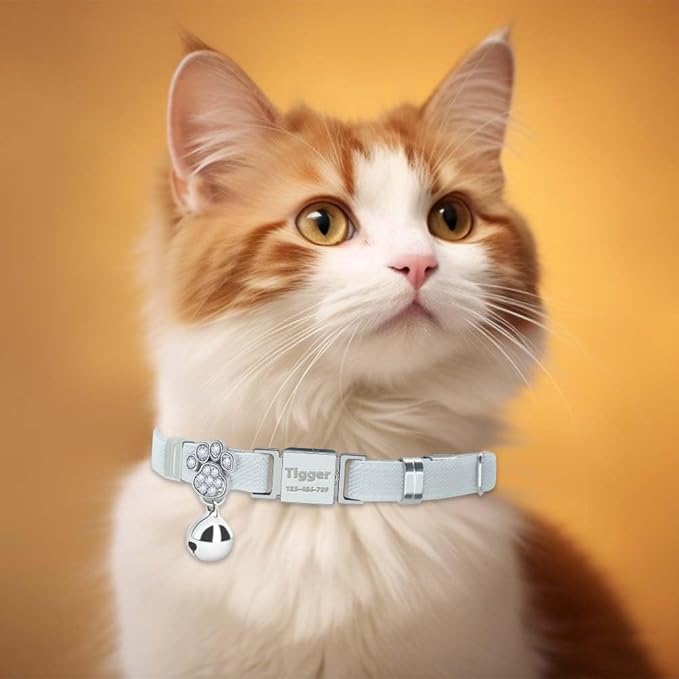 Personalized Safety Elastic Cat Collars with Bell,Laser Customized Stretch Kitten Collars for Girls Boys Cats-White