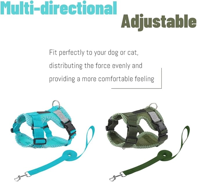Cat Harness and Leash Escape Proof Harness for Kitten Puppy Adjustable Breathable Cats Dog Easy Walk Seatbelt X-Large 2 Pack, Blue+Green