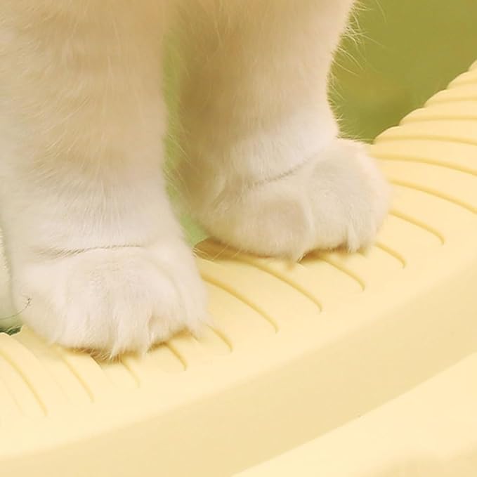 Pet Supplies, Open Top Cat Litter Box with Scoop, High Side Sifting Tray for All Cats(Green)