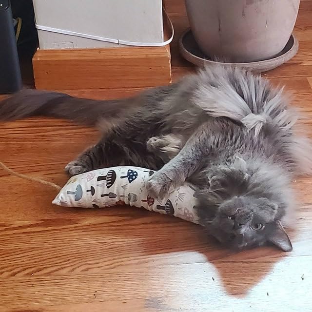 Meowy Janes Tough Canvas Cat Kicker Toy, Stuffed with 100% Catnip (1/4 LB), Original, Super Potent Canadian Catnip! | All Natural Large Size 10" Kitty Kicker (Watercolor Rainbow Striped)