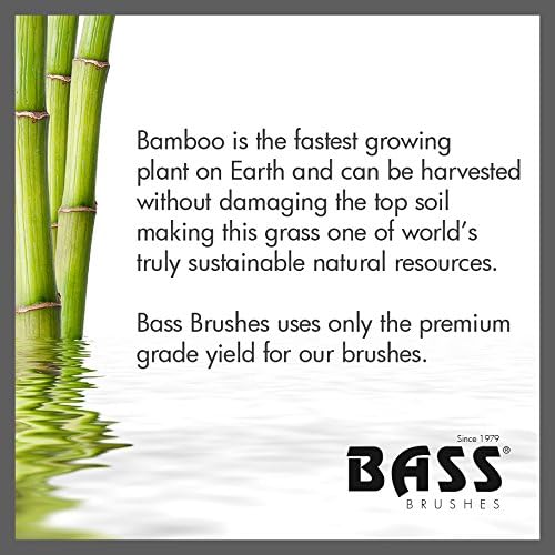Bass Brushes Small Oval Wire Pet Brush with Bamboo Wood Handle