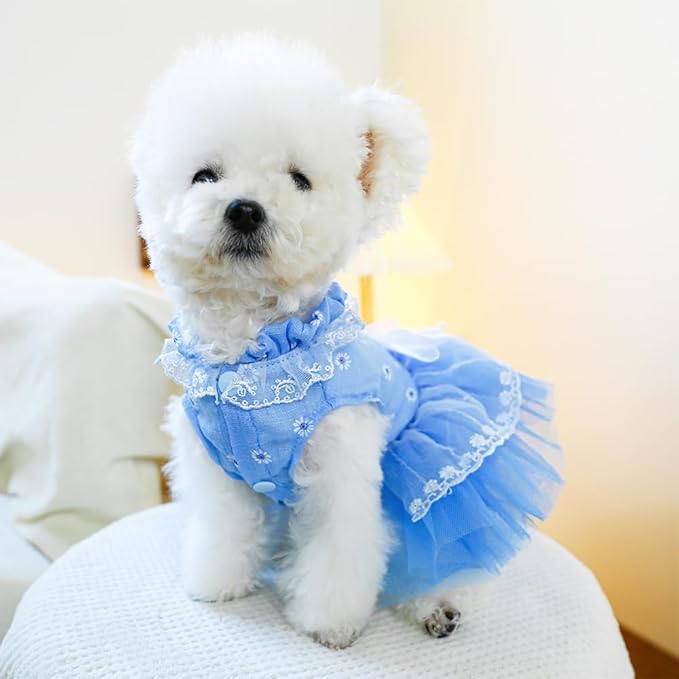 ANIAC Daisy Small Dog Dresses Female with Leash Ring,Bow Knot Girl Puppy Wedding Dress,Valentine's Cat Outfit,Fancy Pet Party Dress for Kitten Chihuahua Yorkie Pomeranian (Blue, X-Small)