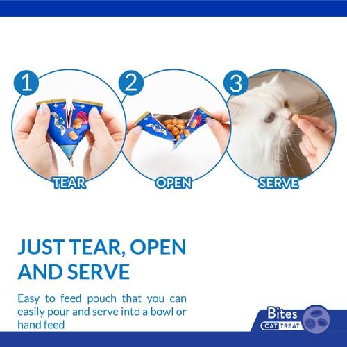 INABA Churu Fun Bites for Cats, Soft & Chewy Baked Chicken Wrapped Filled Cat Treats with Taurine, 0.42 Ounces Each Tetra, 9 Tetras (3 per Bag), Chicken with Pumpkin Recipe