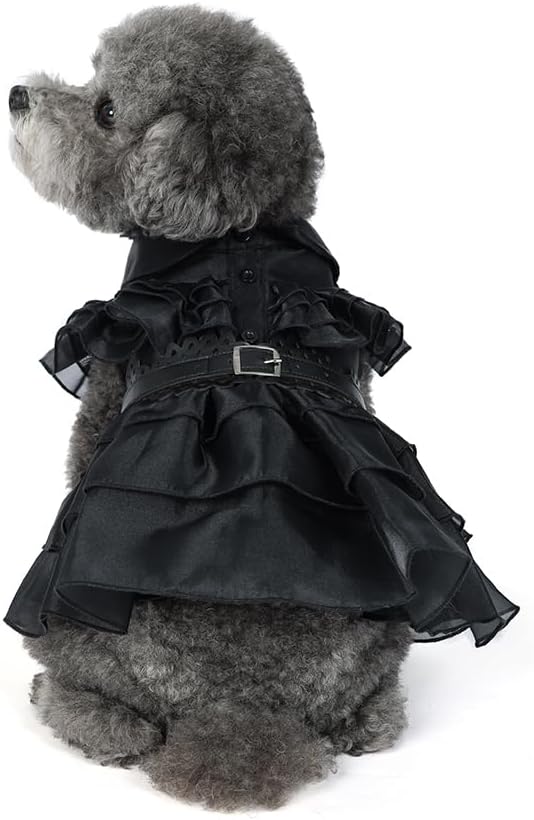 Pet Dog Cat Black Dress Halloween Costume Cosplay Puppy Kitten Coat with Belt Christmas Party