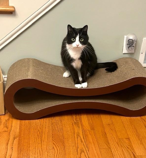 Extra Large Cat Scratcher Cardboard Bed, 34" Horizontal Cat Scratcher Cardboard Lounger, 100% Recyclable & Reversible Durable Board Pads Prevents Furniture Damage