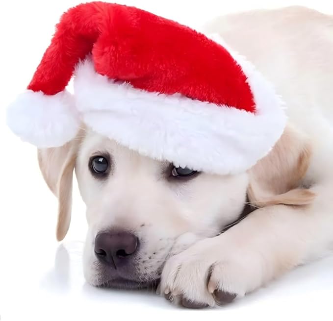 Adjustable Pet Santa Hat for Dogs Cats, Christmas Costume Hat for Puppy Kitten Holiday Party