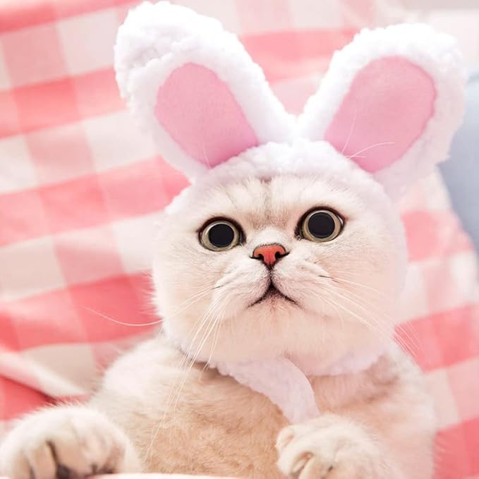 Pet Cute Hat, Cat Adorable Bunny Hat Banana Strawberry Tiger Yellow Duck Drumstick Shaped Hat for Cat Kitten Small Puppy Party Costumes Festival Birthday