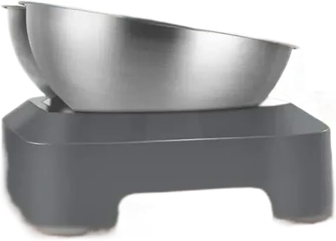 Cat Bowl Set with Stand, Stainless Steel Raised Feeder for Food and Water, Pet Bowls for Cats