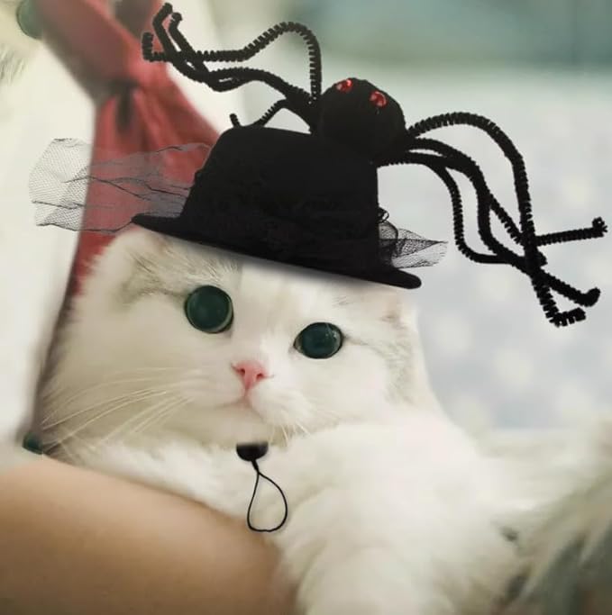 5 Pieces Cat Hat Adorable Cat Costume Outfit Bunny Hat with Ears Funny Mane Hat for Cats and Small Dogs Kitten Puppy Party Costume Accessory Headwear (Spider-Beer-Flower-Punk-Frog)