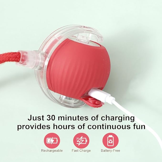 Interactive Cat Toy Ball for Indoor Cats, Automatic Moving Cat Ball with String Tail, 3 Interaction Modes Smart Rolling Pet Toy, Type-C Rechargeable Silent Kitten Toy for Boredom & Exercise