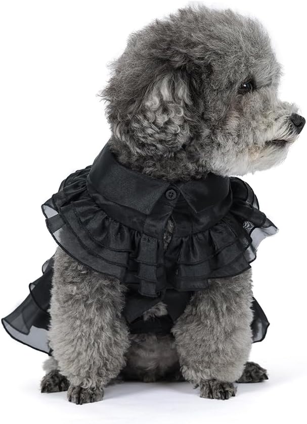 Pet Dog Cat Black Dress Halloween Costume Cosplay Puppy Kitten Coat with Belt Christmas Party